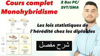 Cours complet les lois statistiques de l’hérédité Monohybridisme 2 Bac شرح مفصل ومبسط [upl. by Navada]