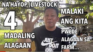 4 NA HAYOP NA MAGANDA MADALI ALAGAAN AT KIKITA SA FARM [upl. by Raimes139]