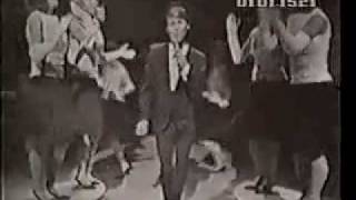 The Ronettes  Very Rare Clip [upl. by Elleirol]