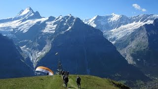 Paragliding Grindelwald Berner Oberland [upl. by Averill]