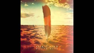 Xavier Rudd  Spirit Bird audio HQ [upl. by Towland]