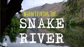 WORM Fishing The SNAKE RIVER [upl. by Aikit]