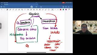 Bioquímica  Glucólisis [upl. by Gabler]