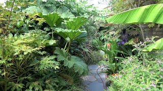 Our Small Jungle Garden  Onze Kleine Jungle Tuin  At Its Best [upl. by Sinegra]