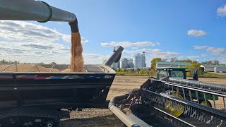 Harvest Continues and Tillage Gets Rolling [upl. by Fara]