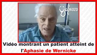 comparaison entre laphasie de BROCA et laphasie de WERNICKE [upl. by Ronyam]