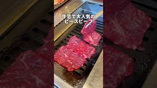 生飲み放題付き豪華焼肉コース！？531までの期間限定（税込6380円）牛恋 焼肉 グルメ [upl. by Enyleuqcaj707]