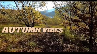 VTT ENDURO Autumn Vibes [upl. by Morgen350]