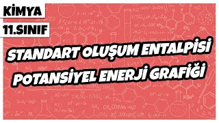 11 Sınıf Kimya  Standart Oluşum Entalpisi  Potansiyel Enerji Grafiği  2022 [upl. by Hsima]