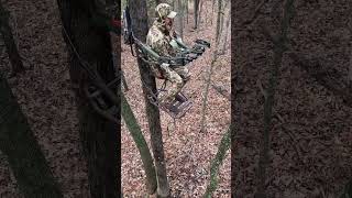 Big Buck Hunt nature hunting deerhunting deer archery bowhunting teamspypoint [upl. by Bil]