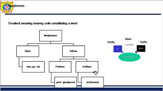 Morphological Analysis in NLP [upl. by Trebbor]