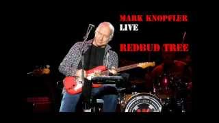 Mark Knopfler  Redbud tree Live  Saskatoon October 8 2012 [upl. by Assehc]