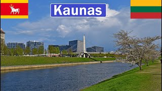 Lithuania Kaunas walking tour in city centre 4K [upl. by Drandell]