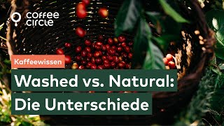 Washed vs Natural Kaffee Verarbeitung  Coffee Circle [upl. by Erlewine]