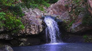 Relaxing Waterfall White Noise  10Hour Nature Sounds for Studying and Relaxation [upl. by Leahcir23]