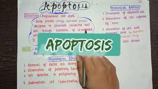 What is Apoptosis  Intrinsic Extrinsic pathway Morphologic Changes Mechanism amp the caspase [upl. by Nanahs343]