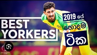 The Best Yorkers of The 2019 cricket world cup  unplayable Deliveries  ICC CWC 2019 [upl. by Lotsirk508]