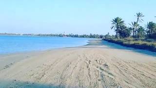 Driving through Djerba Island  القيادة في جزيرة جربة تونس [upl. by Ayotnahs]