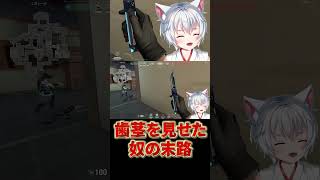 【VALORANT】ﾆﾁｬﾆﾁｬしてたら分からされたVtuber shorts vtuber valorant [upl. by Idham]