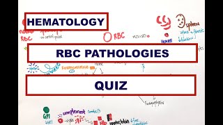 RBC Pathology Microcytic anemia Sickle cell PNH Sideroblastic AIHA Fe Deficiency  USMLE  MCQ [upl. by Kerrill]