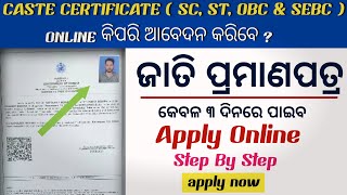 How to Apply Caste Certificate Online 2024  Caste Certificate Apply Online in Odisha [upl. by Amme]