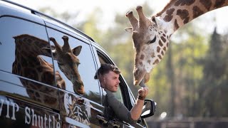 Safariland Stukenbrock wieder geöffnet [upl. by Ralaigh953]