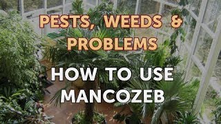 How to Use Mancozeb [upl. by Noiram960]