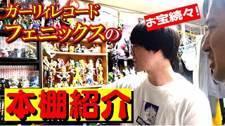 【本棚紹介】フェニックスの部屋にお邪魔して本棚を見せてもらう！【漫画部屋探訪】 [upl. by Aerdnas]