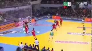 ALGERIE vs MAROC CAN Handball 2014 [upl. by Enaamuj]