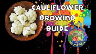 Cauliflower Growing Guide and much more [upl. by Hannus]