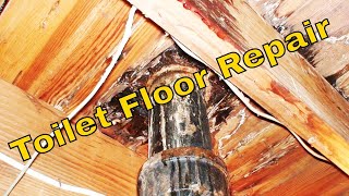 Toilet Flange And Floor Repair [upl. by Jutta]