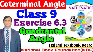 General Angles Quadrantal AnglesUnit circle amp Trigonometric Ratios Class 9 New Book 2024 newbook [upl. by Emmet]