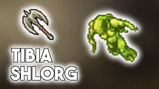 PL Tibia Boss  Shlorg Edron Earth Elemental Cave [upl. by Chapland262]