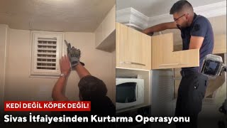 Kedi Değil Köpek Değil Sivas İtfaiyesinden Kurtarma Operasyonu [upl. by Felike]