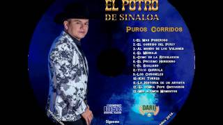 El Potro de Sinaloa  Puros Corridos Disco Completo Exclusivo 2016 [upl. by Alithia]