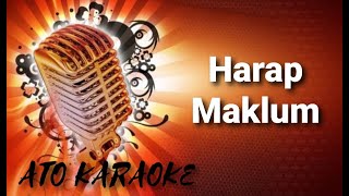 Ari Wibowo  Harap maklum  karaoke [upl. by Rogerg86]