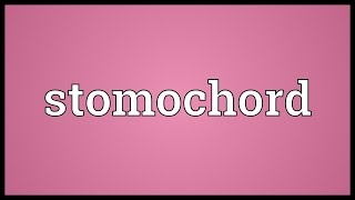 Stomochord Meaning [upl. by Ettennor251]