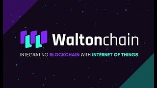 WaltonChain WTC  Fundamental Analysis [upl. by Llerrut]