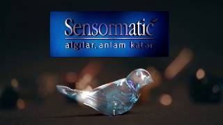 Sensormatic  Algılar Anlam Katar [upl. by Estis]