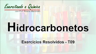 Hidrocarbonetos  Exercícios Resolvidos T09 [upl. by Ecinej479]