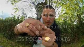 Comment protéger une bouillette contre les poissonchats [upl. by Yniffit]