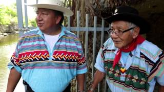 Miccosukee Magazine TV Ep 206 American Indian day 2012 [upl. by Ehtyde370]