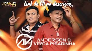 Anderson dos Teclados e o Véi Pisadinha  CD Novo 2019  Ao Vivo  CD Completo [upl. by Aridatha]