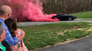 Epic Burnout at a GenderReveal Party [upl. by Marie-Ann]