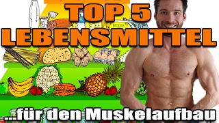 Top 5 Lebensmittel für den Muskelaufbau [upl. by Ilenay]