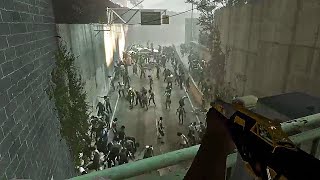 Left 4 Dead 2 but the horde is full of CHAOS [upl. by Rind]