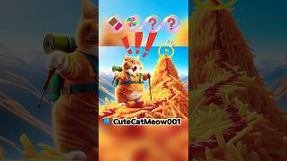 Cats Funny Food Quests 🍫🍭🍟❓ cat cute catlover [upl. by Iamhaj]