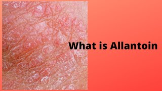 What is Allantoin [upl. by Evaleen]