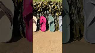 gambol gotsole luxury flipflops [upl. by Aidnahs]