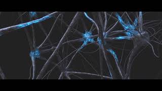 Synapse system Artistic procedural organic animation Houdini FX [upl. by Eadmund255]